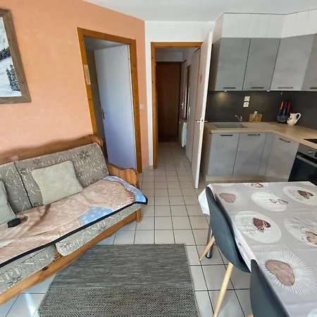 A Chatel, 4 Pers, Parking Prive, Terrasse, Proche Centre - Fr-1-693-115 Chatel
