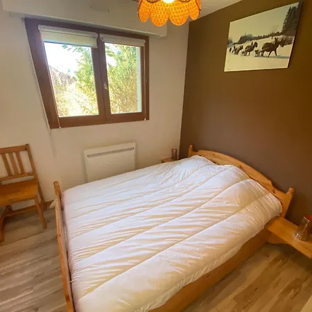 A Chatel, 4 Pers, Parking Prive, Terrasse, Proche Centre - Fr-1-693-115 * Chatel